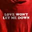 Love Won’t Let Me Down cover